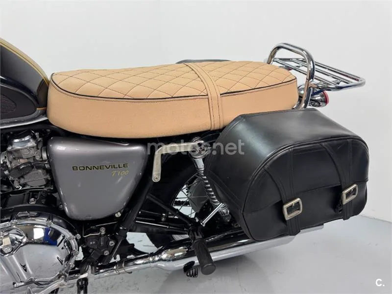 Triumph Bonneville T100 – Vista 7