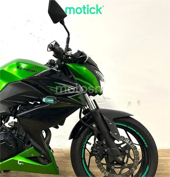 Kawasaki Z300 – Vista 3