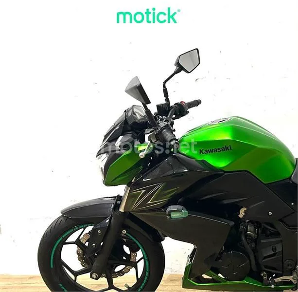 Kawasaki Z300 – Vista 6