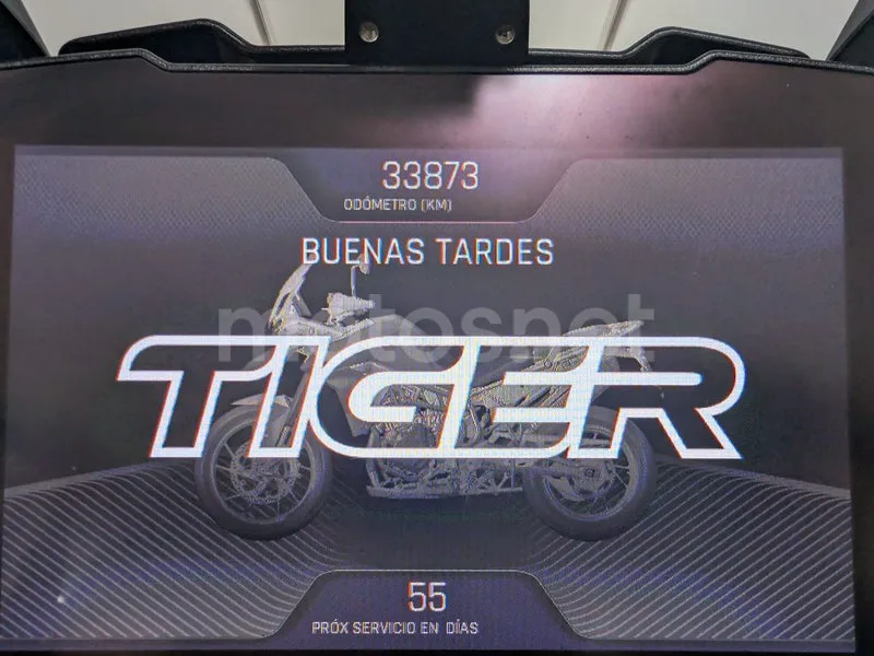 Triumph Tiger 900 - Vista 6