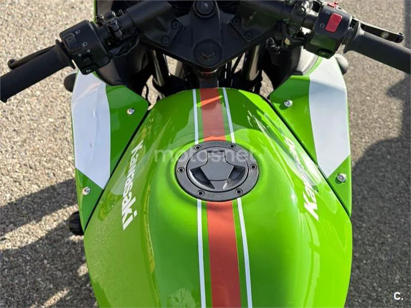 Kawasaki Ninja 250 R – Vista 9
