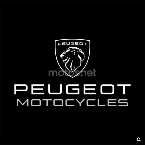Peugeot PM-01 125 – Vista 17
