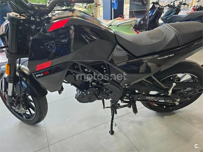 Peugeot PM-01 125 – Vista 5