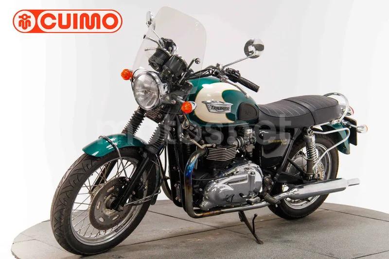 Triumph Bonneville T100 – Vista 17