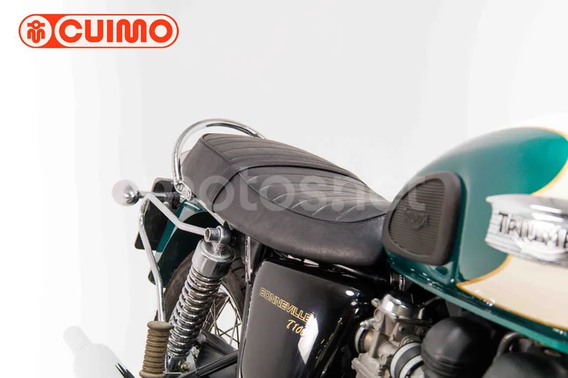Triumph Bonneville T100 – Vista 22