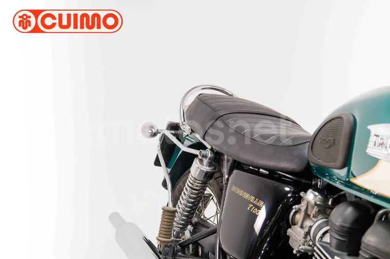 Triumph Bonneville T100 – Vista 23