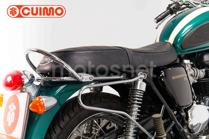 Triumph Bonneville T100 – Vista 32
