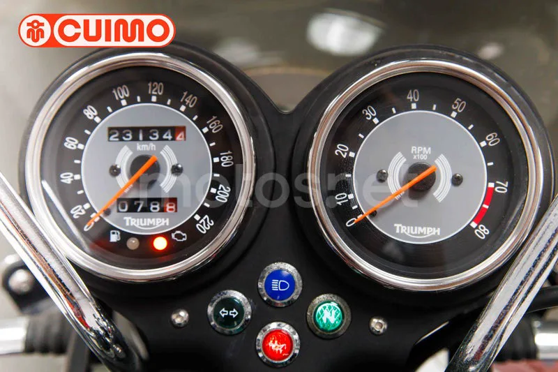 Triumph Bonneville T100 – Vista 43
