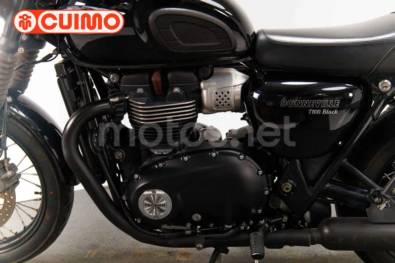 Triumph Bonneville T100 - Vista 37