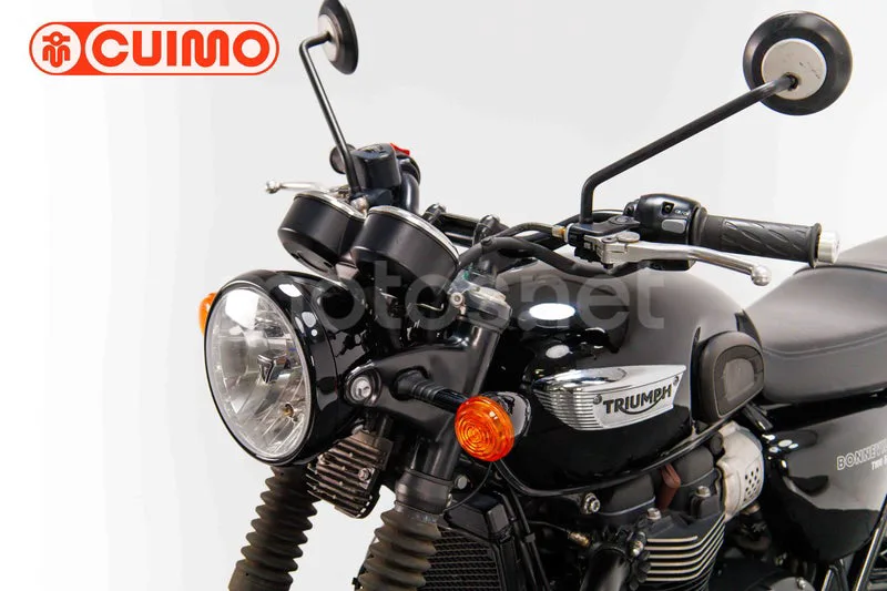 Triumph Bonneville T100 - Vista 44