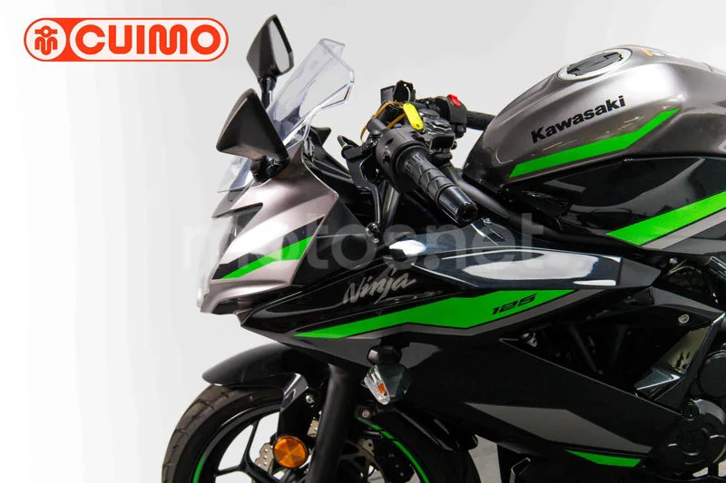 Kawasaki Ninja 125 – Vista 20
