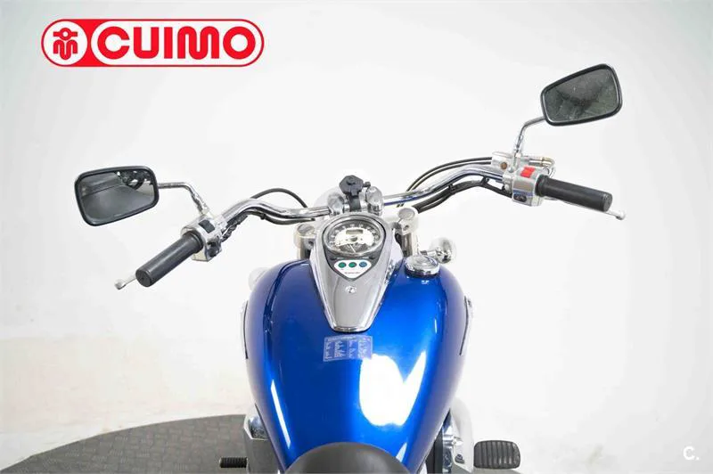 Kawasaki VN 900 Classic – Vista 17