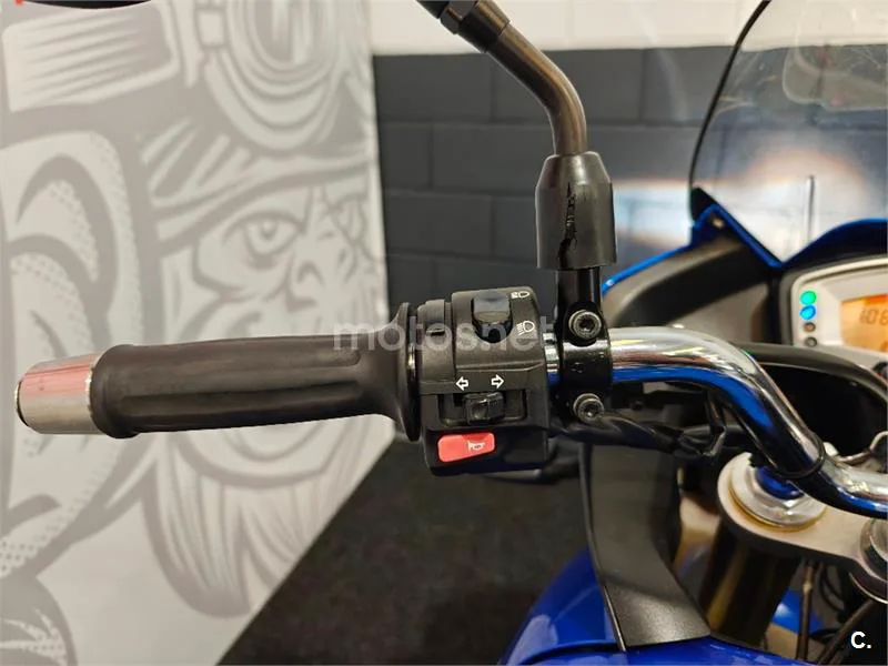 Triumph Tiger 1050 – Vista 9