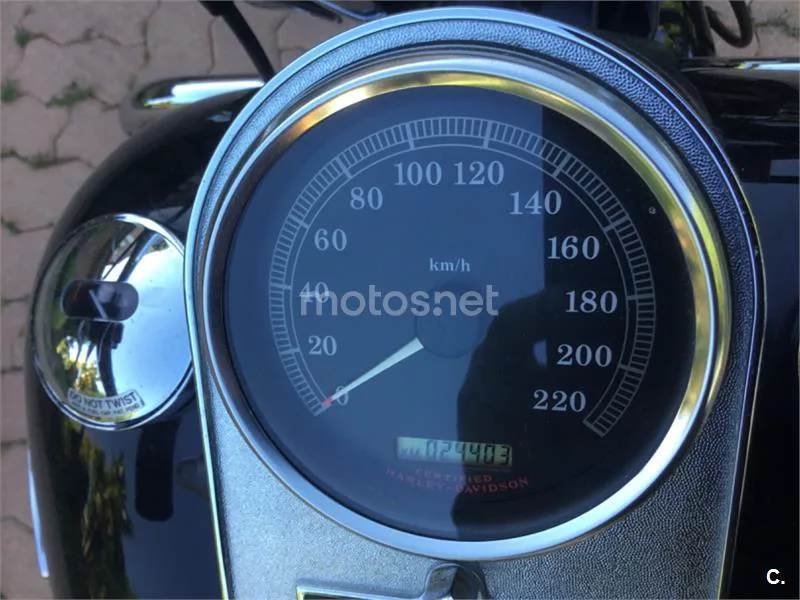 Harley-Davidson Road King Classic – Vista 5