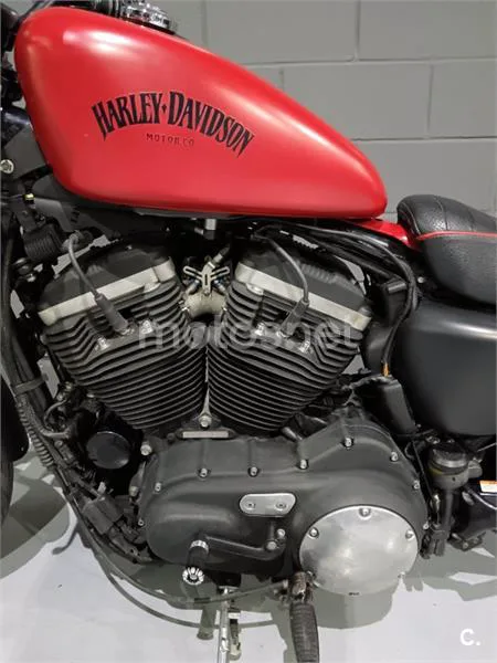 Harley-Davidson Sportster 883 – Vista 4