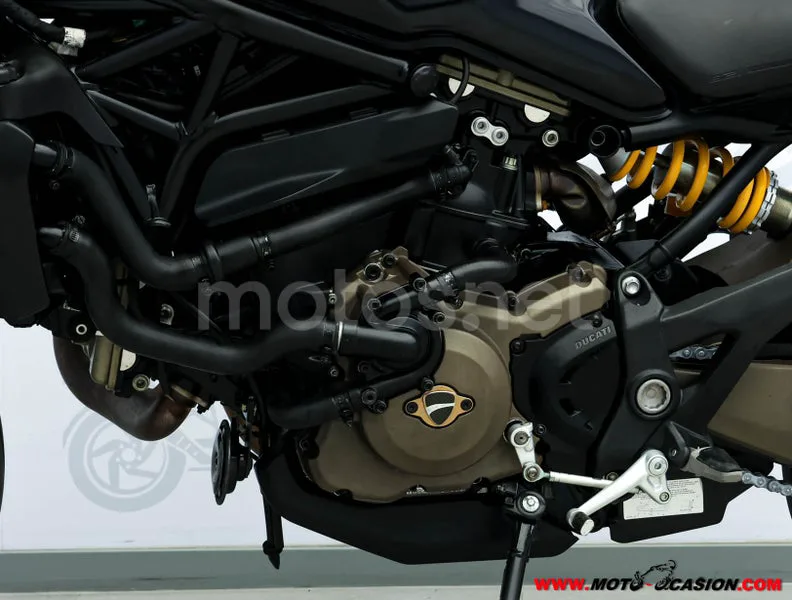 Ducati Monster 821 – Vista 14