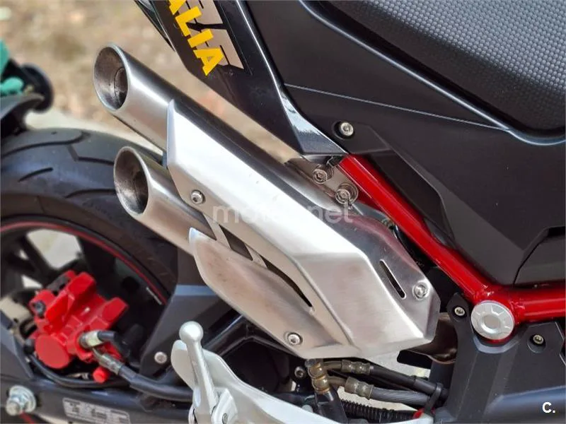 Benelli BN 125 – Vista 4