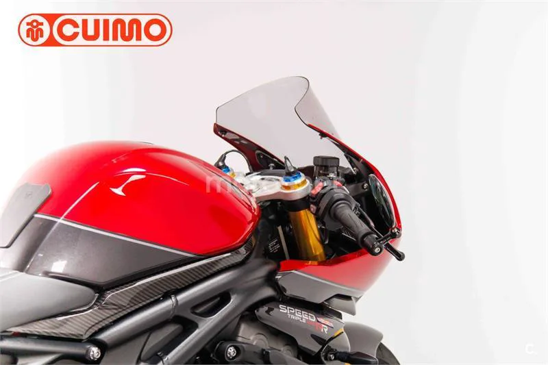 Triumph Speed Triple – Vista 15