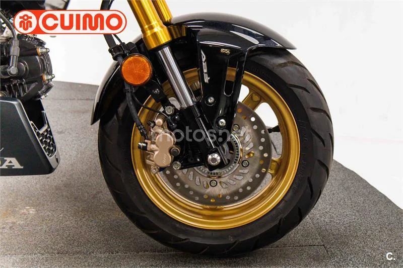 Honda MSX 125 – Vista 14