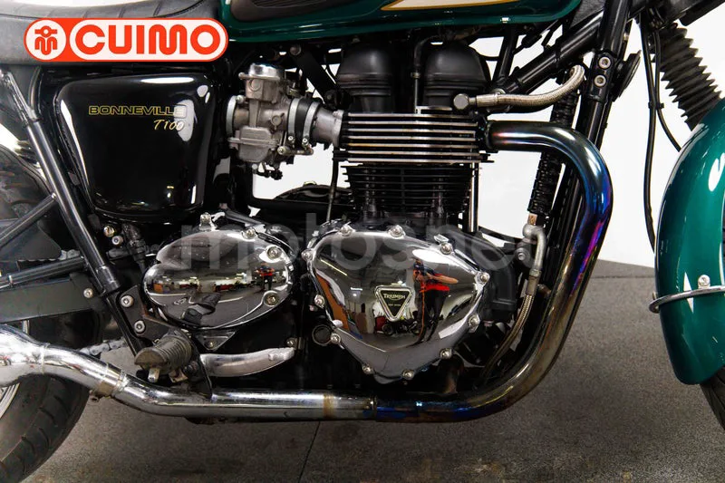 Triumph Bonneville T100 – Vista 13