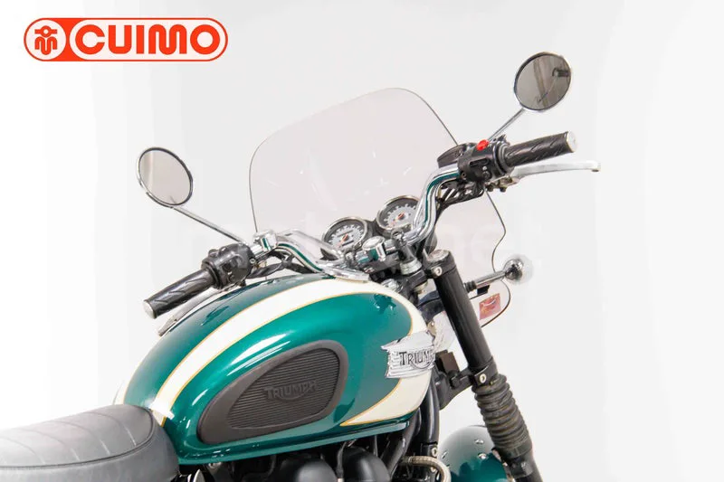 Triumph Bonneville T100 – Vista 15