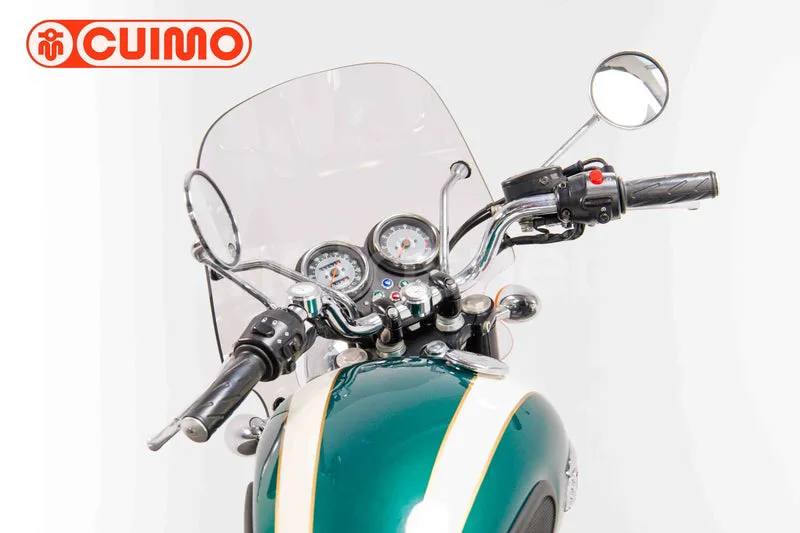 Triumph Bonneville T100 – Vista 17