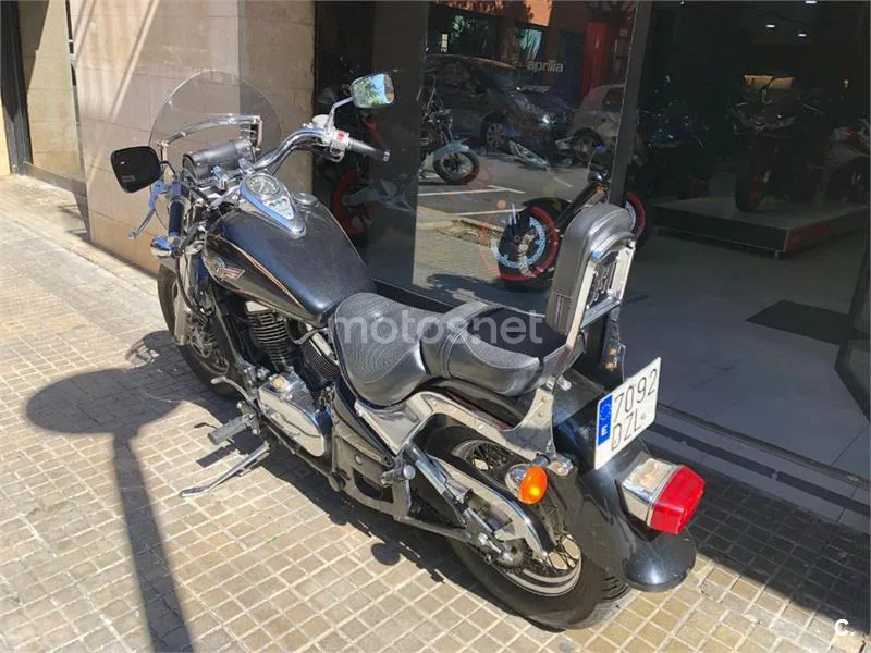 Kawasaki VN 800 Classic – Vista 4