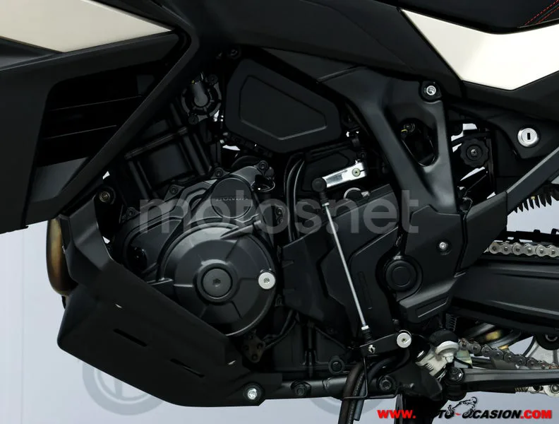 Honda NT1100 – Vista 10