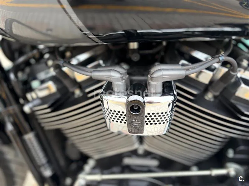Harley-Davidson Sport Glide – Vista 19