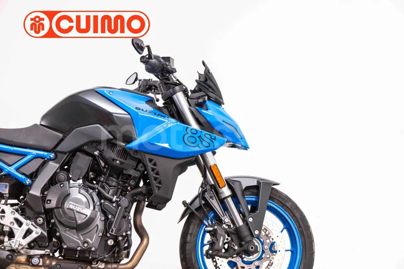 Suzuki GSX-8S – Vista 6