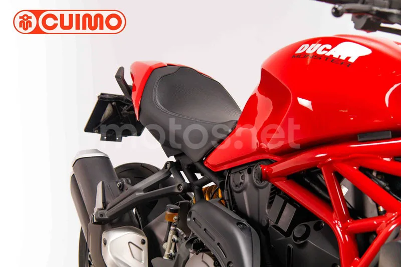 Ducati Monster 821 – Vista 12