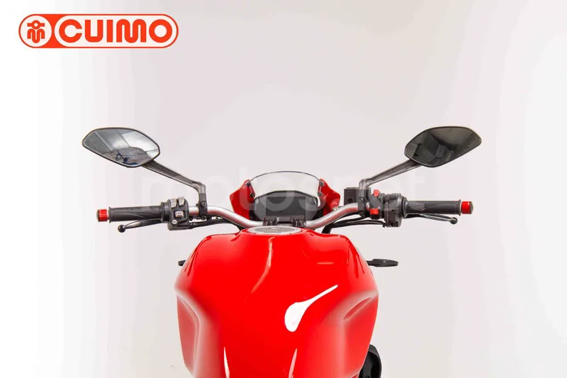Ducati Monster 821 – Vista 17