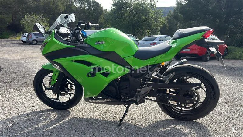 Kawasaki Ninja 300 - Vista 5