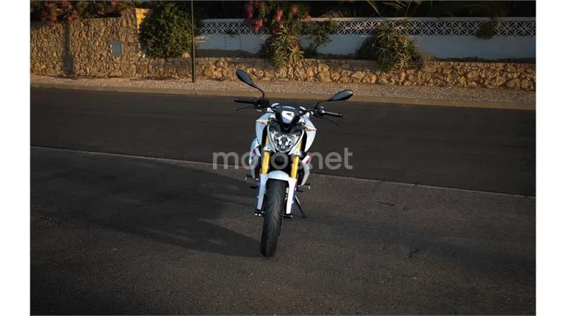 BMW G 310 R – Vista 14
