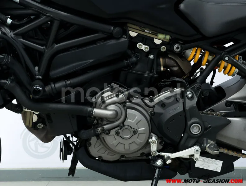 Ducati Monster 821 – Vista 10
