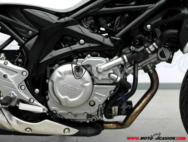 Suzuki SFV 650 Gladius – Vista 5