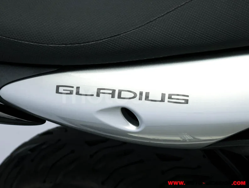 Suzuki SFV 650 Gladius – Vista 9