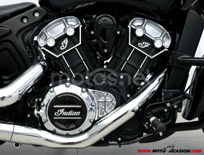 Indian Scout – Vista 5