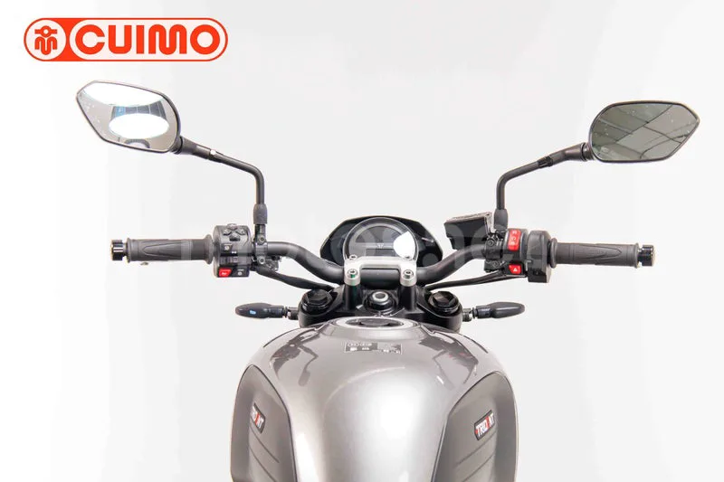 Triumph Trident 660 – Vista 25