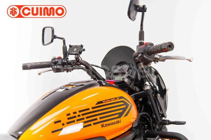 Kawasaki Vulcan S – Vista 29
