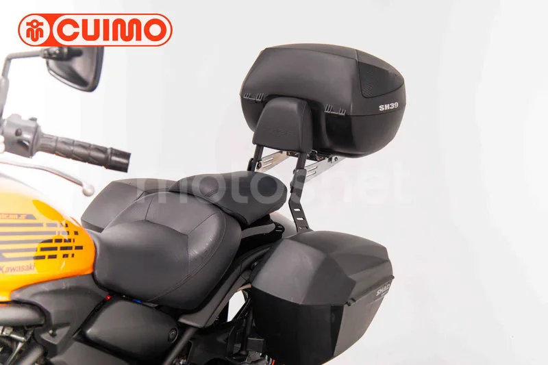 Kawasaki Vulcan S – Vista 37