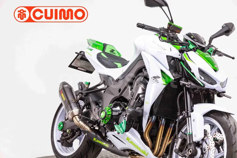 Kawasaki Z1000 – Vista 4
