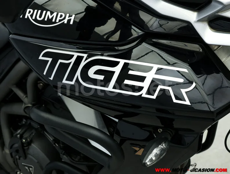 Triumph Tiger 800 XRT – Vista 8