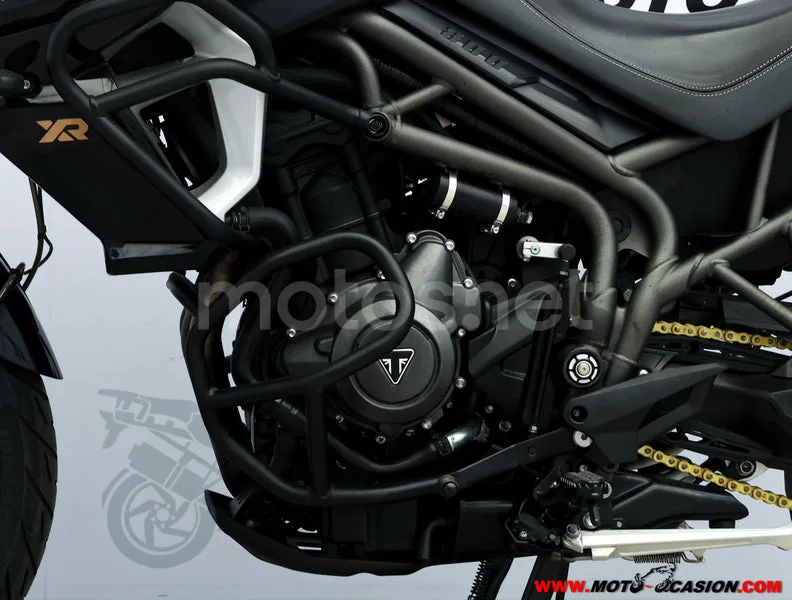 Triumph Tiger 800 XRT – Vista 9