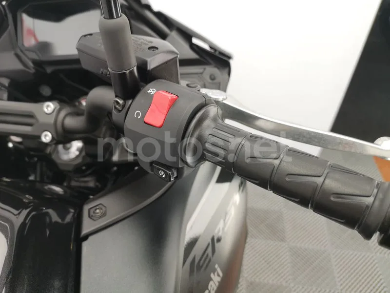 Kawasaki Versys – Vista 10
