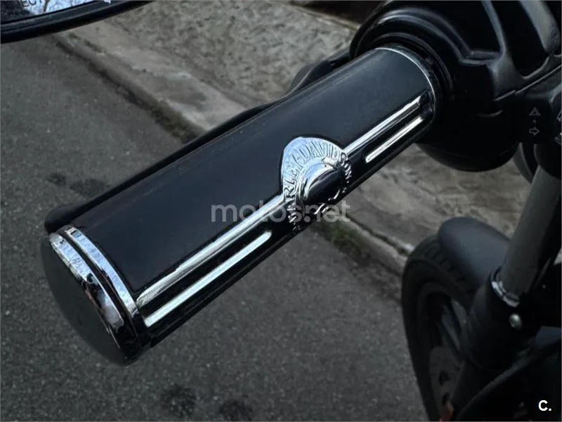 Harley-Davidson Iron 883 - Vista 6