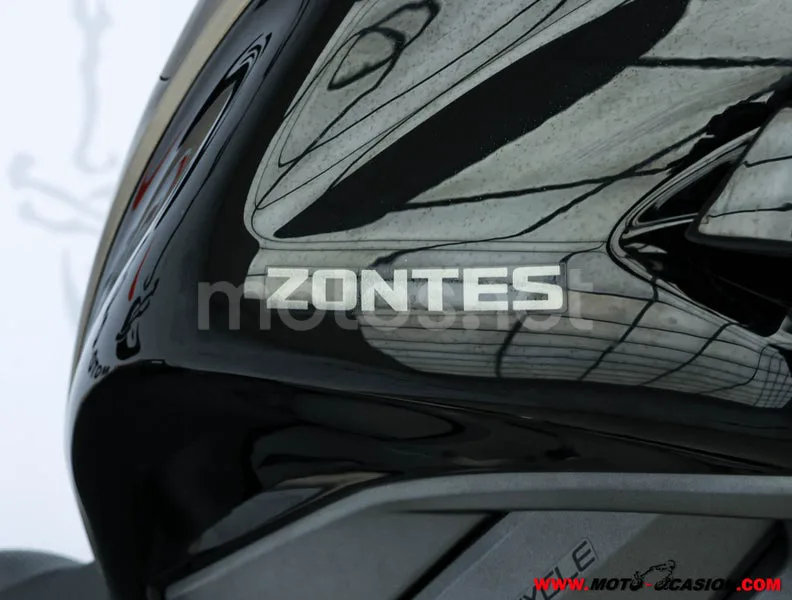 Zontes 310 T – Vista 9