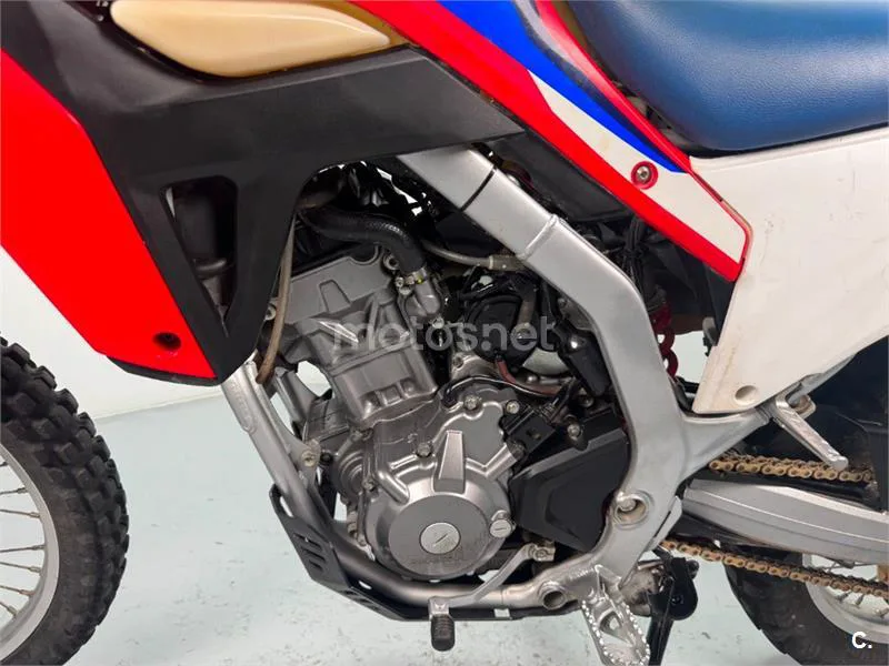 Honda CRF 300 L – Vista 6
