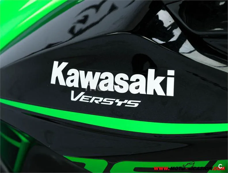 Kawasaki Versys – Vista 9