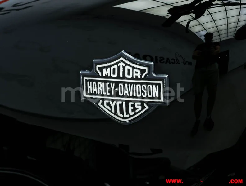 Harley-Davidson Street 750 - Vista 10